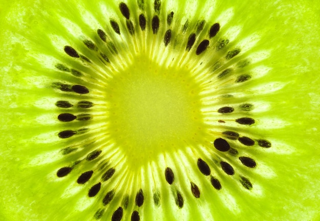 Sfondo kiwi fresco SuperMacro retroilluminato