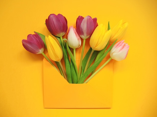 Sfondo luminoso primavera. Tulipani colorati in busta per festa della donna o Pasqua