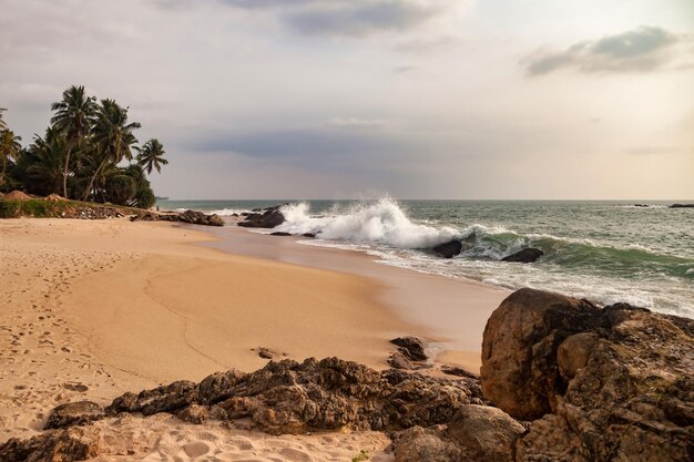 Sfondo natura tropicale paesaggio con spiaggia sabbiosa palme su fantastica vista sul mare incredibile oceano sulla costa per il concetto di vacanze estive