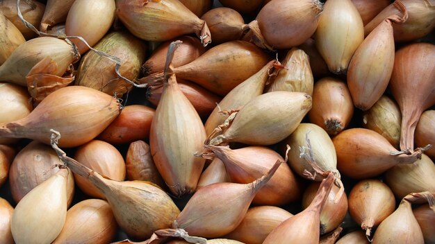 Sfondo naturale dai semi del primo piano della cipolla