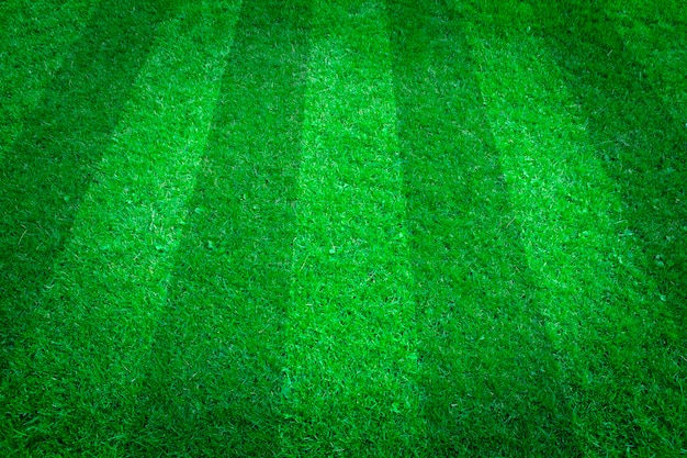 Sfondo naturale di erba verde. Campo da calcio. Vista dall'alto.