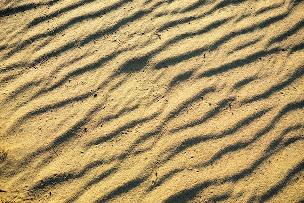 Sfondo naturale di una sabbia gialla con onde