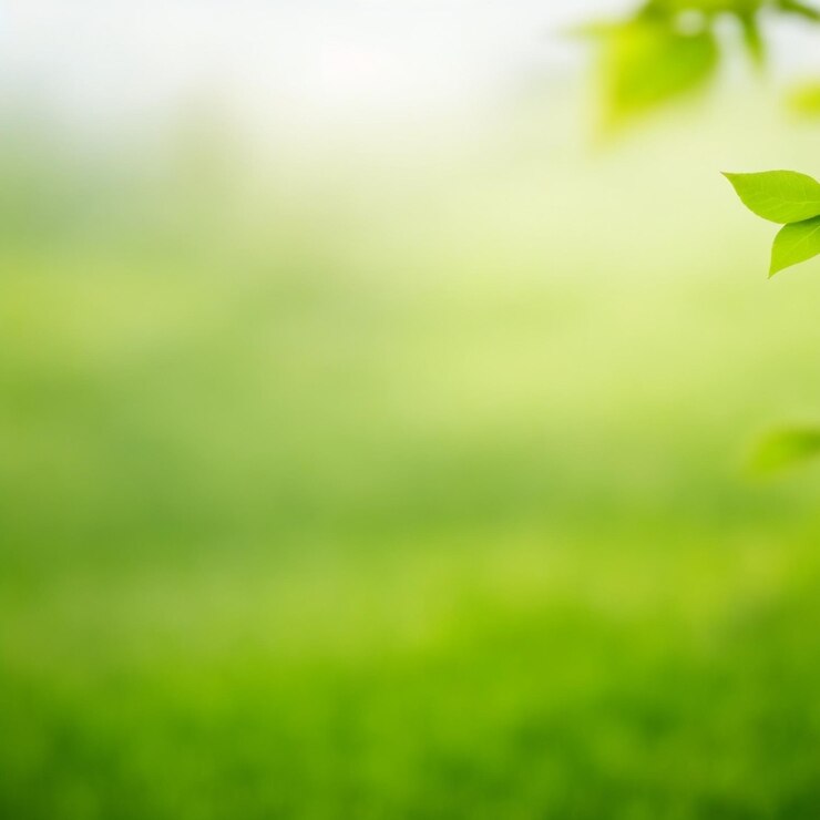 sfondo naturale verde di foresta sfocata