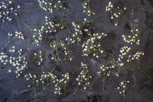 sfondo nero con fiori di campo