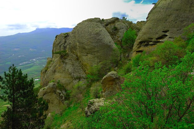 Sfondo orizzontale con un magnifico paesaggio della penisola di Crimea Vista dall'alto delle montagne ricoperte da una vegetazione lussureggiante e delle fitte nuvole sotto le cime Cielo blu chiaro Spazio di copia