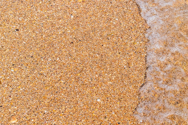 Sfondo orizzontale spiaggia bella conchiglia dorata roccia e onda