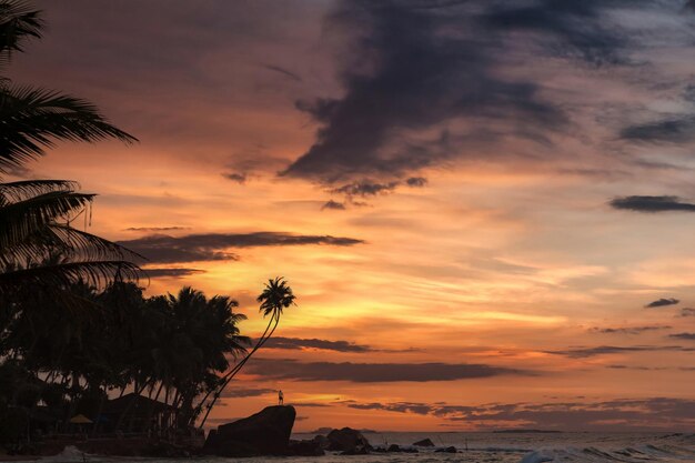 Sfondo paesaggio naturale tropicale con palme da cocco sul fantastico tramonto incredibile cielo arancione con nuvole per il concetto di vacanze estive e viaggi d'affari