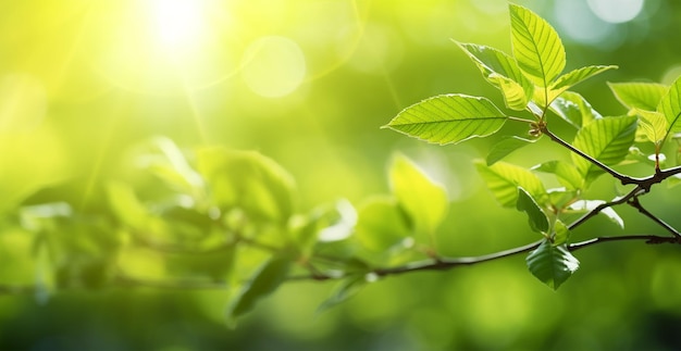 Sfondo primaverile foglie verdi di alberi su uno sfondo chiaro sfocato AI immagine generata