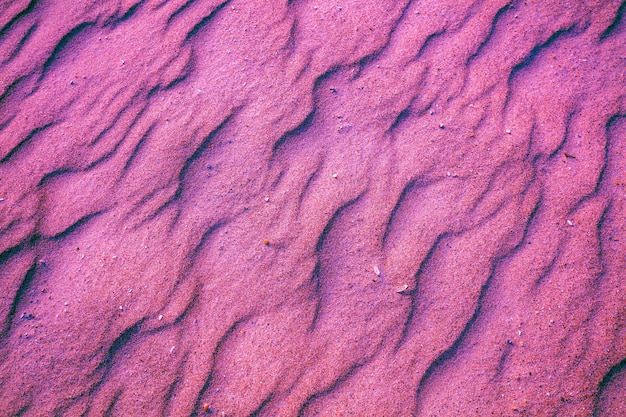 Sfondo sabbioso ondulato astratto Trama di sabbia nel deserto o sulla spiaggia Tonalità di colore viola