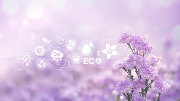 Sfondo sfocato di fiori viola e concetto ESG di ambiente sociale e governance e investimenti a impatto fondi sostenibili internet delle cose energia ai spazio libero per il testo