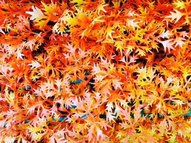 Sfondo sfocato di foglie autunnali rosse e arancioni artificiali