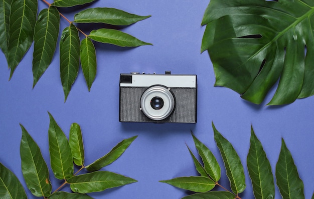 Sfondo stile retrò. Fotocamera a pellicola tra foglie verdi tropicali su viola