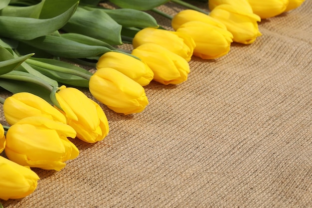 sfondo tessile con tulipani gialli e spazio per la copia