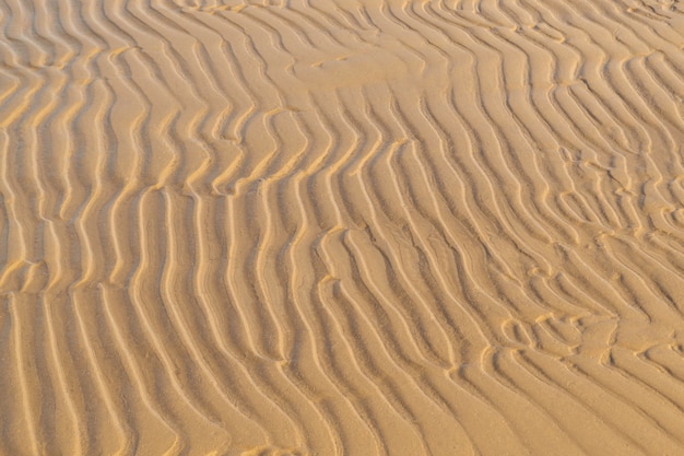 Sfondo texture sabbia. Estate e concetto di vacanza. Puntello di mare con il primo piano ondulato della sabbia. Vista dall'alto, copia dello spazio.