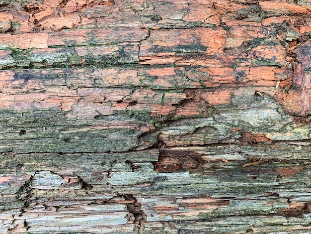 Sfondo, trama di una vecchia superficie in legno in decomposizione e danneggiata.