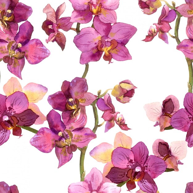 Sfondo trasparente motivo floreale con orchidee viola