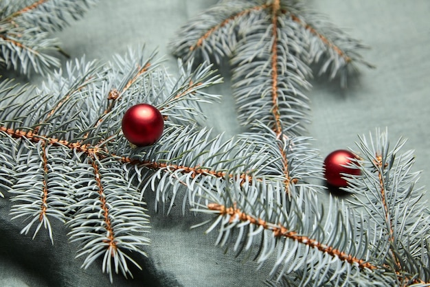 Sfondo vacanze di Natale Rami dell'albero di Natale e decorazioni di palline rosse
