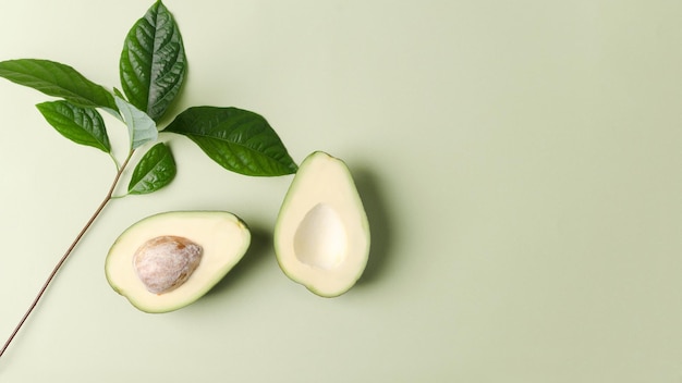 Sfondo vegetale per la dimostrazione di prodotti cosmetici Avocado su sfondo verde pastello