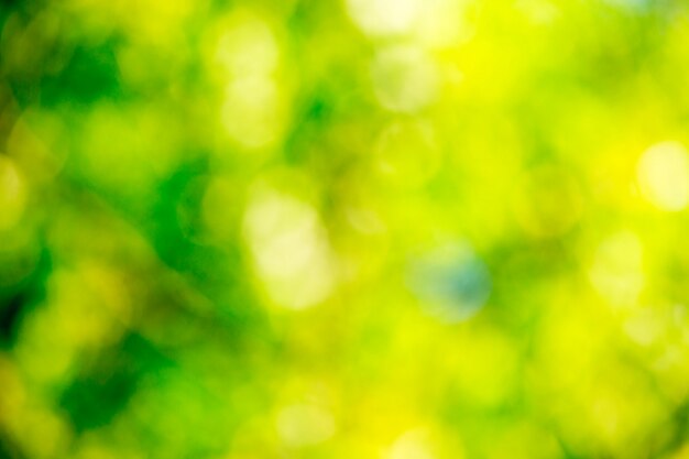 Sfondo verde bokeh