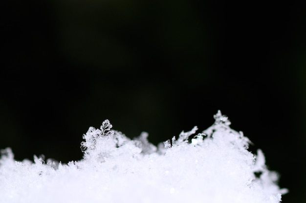 Sfondo verde di cristalli di neve