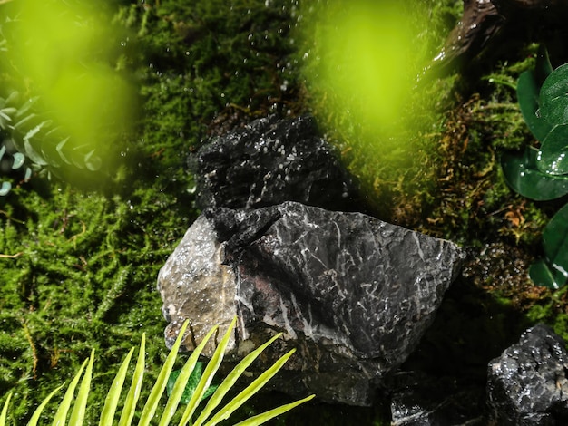 Sfondo verde natura per la vetrina del prodotto