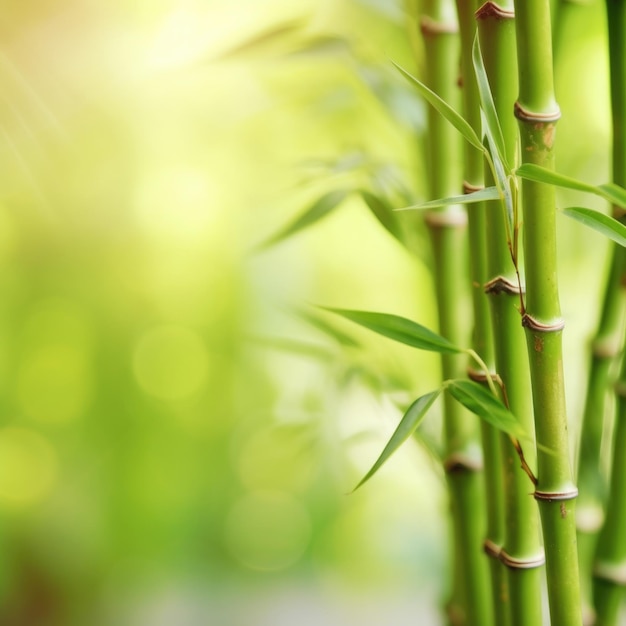 Sfondo verde naturale con bambù Illustrazione AI GenerativexA