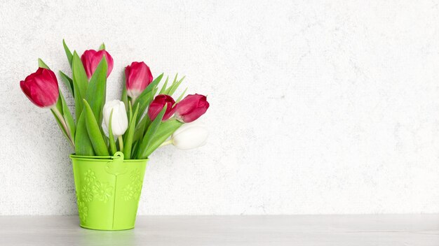 Sfondo widescreen di primavera. Bouquet di fiori di tulipano rosso e bianco. Copia spazio