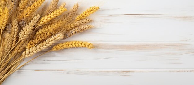 Shavuot è una festa ebraica rappresentata da un bouquet dorato di grano maturo adornato