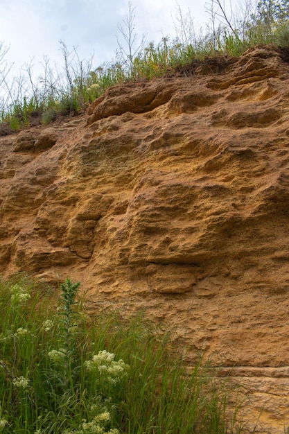 Shell rock texture La struttura superficiale spugnosa della shell rock