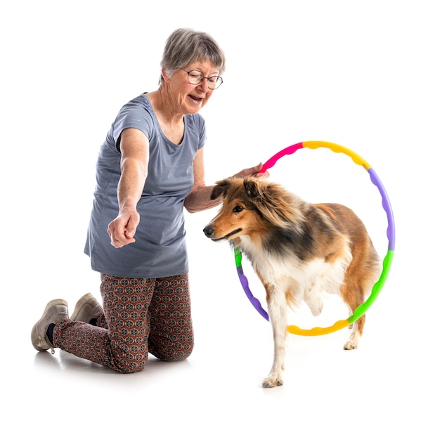 Shetland Sheepdog e donna