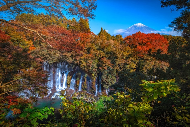 Shiraito cade con il monte Fuji e colorato autunno foglia in Fujinomiya, Shizuoka, Giappone.