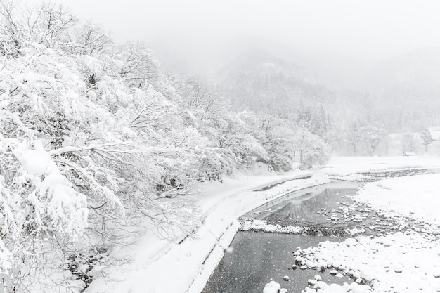 Shirakawago Japan Winter