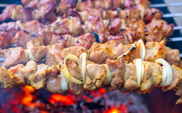 Shish kebab di carne infilzato su una griglia