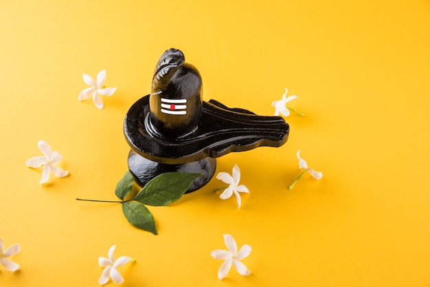 Shiva Linga decorato con fiori e bel patra o foglia e haldi kumkum per Pooja o adorazione del Signore Shiva o Shankar bhagwan