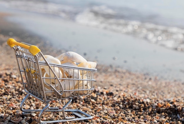 Shopping estivo. Affari e vendita sulla spiaggia. Carrello con conchiglie sulla spiaggia