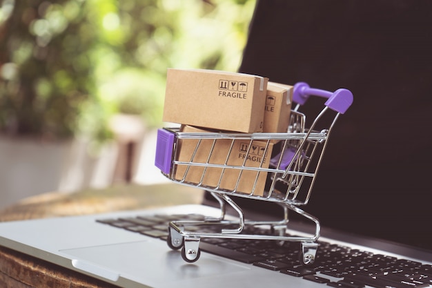 Shopping online o e-commerce concetto di servizio di consegna