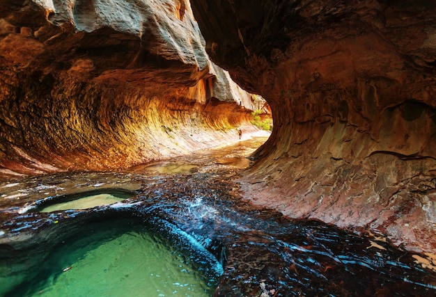 Si restringe nel Parco Nazionale di Zion, Utah