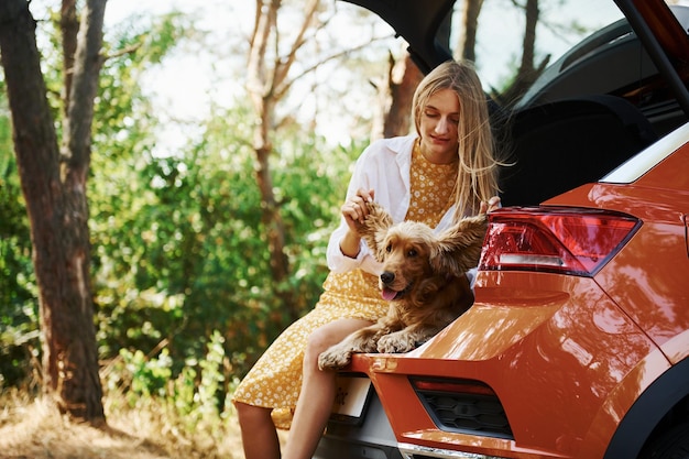 Si siede sul retro dell'auto. La donna con il suo cane all'aperto nella foresta si diverte.