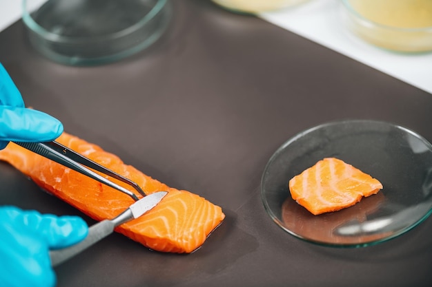 Sicurezza alimentare e test di controllo della qualità Pesce salmone