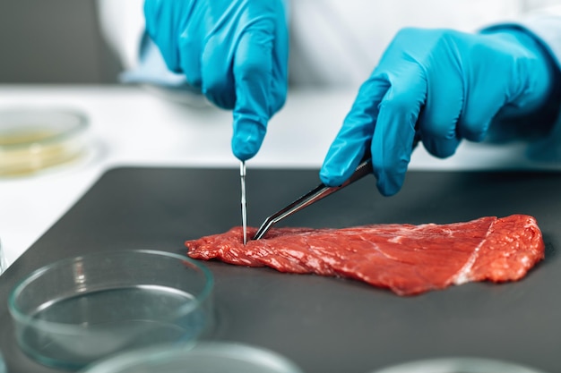 Sicurezza alimentare e test di controllo qualità Carne rossa