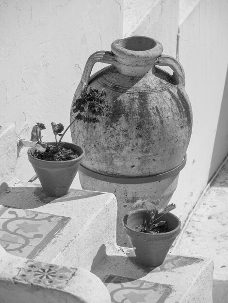 Sidi Bou ha detto in Africa