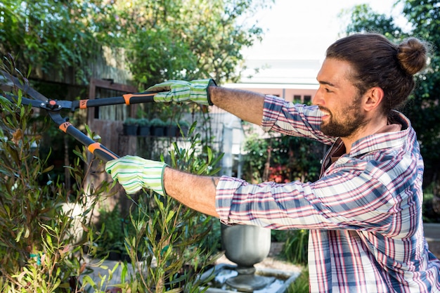 Siepi felici di taglio dei pantaloni a vita bassa con i tagliatori al giardino