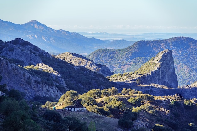 Sierra de Grazalema Parco Naturale provincia di Cadice Andalusia Spagna