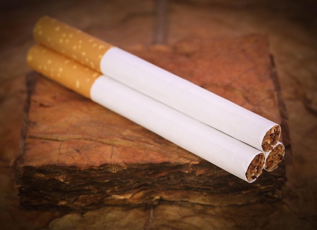 Sigaretta del primo piano con le foglie secche del tabacco
