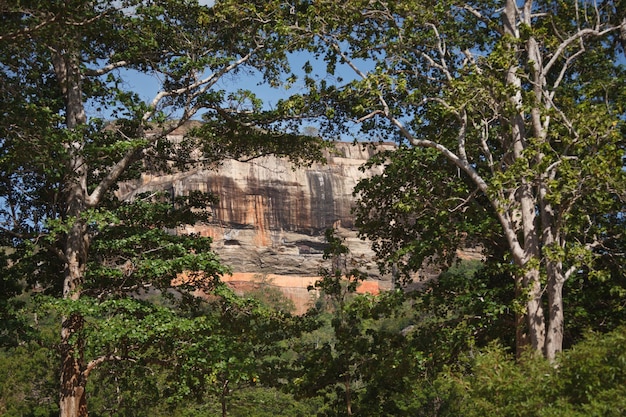 Sigiriya rock