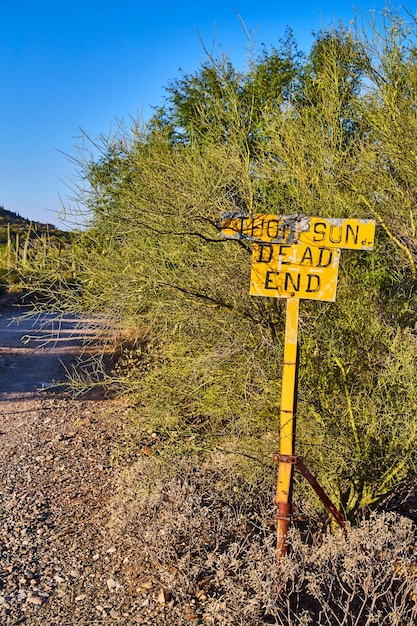 Signale stradale giallo invecchiato in un paesaggio arido del deserto a livello oculare