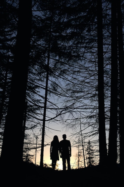 Silhouette coppia di amici che si godono il tramonto nella foresta Vista posteriore di ragazzo e ragazza