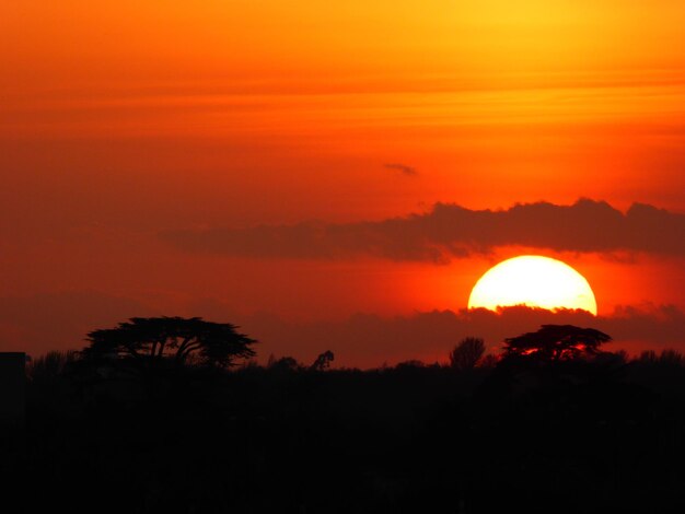 Silhouette del paesaggio al tramonto