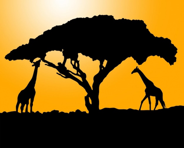 Silhouette della giraffa africana al tramonto