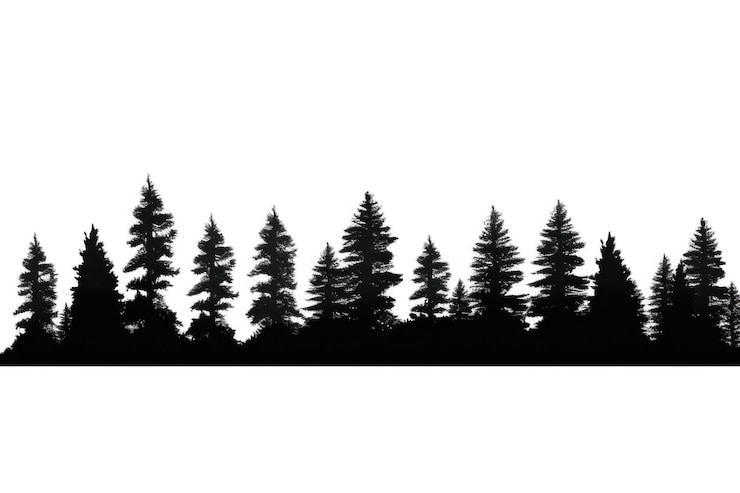 Foto silhouette della linea degli alberi all'aperto della foresta
